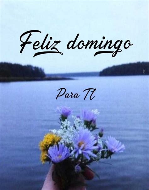 Los domingos permiten tranquilidad, sosiego, pausas de rutinas que. Imágenes para el Domingo feliz y bonito + Frases