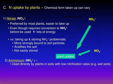 Ppt Plant Microbe Interactions Powerpoint Presentation Free Download