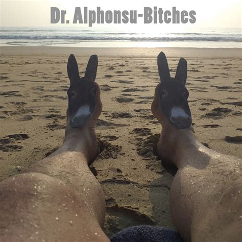 Bitches Single By Dr Alphonsu Spotify