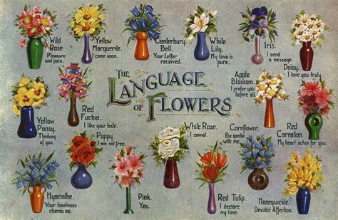 Flower meanings the symbolism of flowers romancefromtheheart com. Flower Meanings: Symbolism of Flowers, Herbs, and More ...
