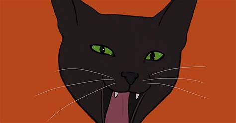 Black Cat Album On Imgur