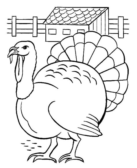 A Turkey Coloring Page Download Print Or Color Online For Free