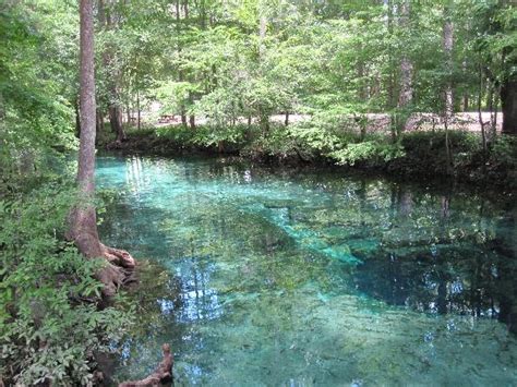 The great outdoors high springs fl. High Springs - REMAX Professionals