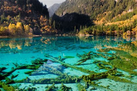 Five Flower Lake China 8 Most Beautiful Water Landscapes From Around