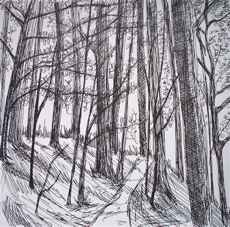Forest Background Drawing Easy How To Draw Forests Forest