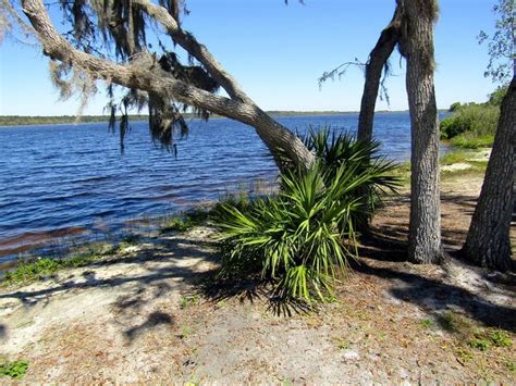 Enjoy Peace And Quiet At Lake Manatee Park In Florida