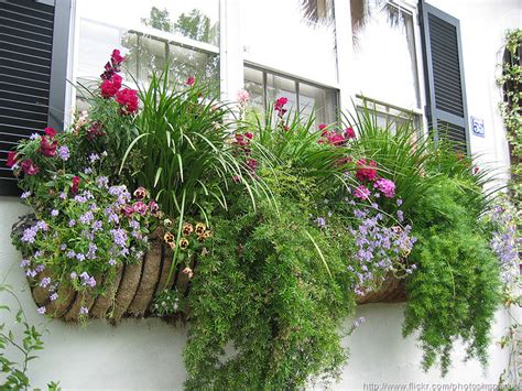 24 inch window boxes horse trough planters with coir liner, outdoor railing deck balcony planters boxes, black metal hanging flower planter window basket coconut home garden decoration 1pcs. Cottage Flavor: Window Boxes Abloom