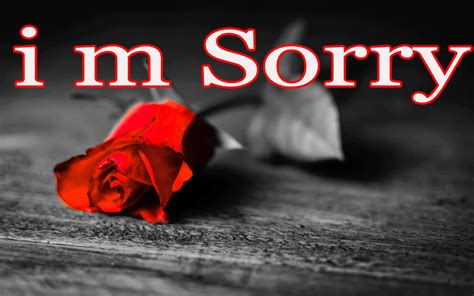 Im Sorry Wallpaper 71 Images