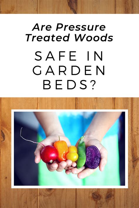 Yes, the 'new' pressure treated wood is safe for use for raised garden frames with a few precautions! Are Pressure Treated Woods Safe in Garden Beds ...