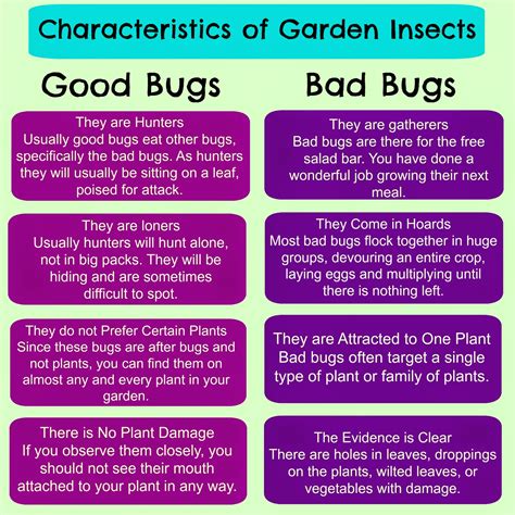 Garden Insects Good Guys Or Bad Guys