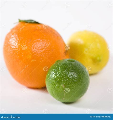 Citrus Fruits Stock Photo Image Of Fresh Lemon Freshness 4312112