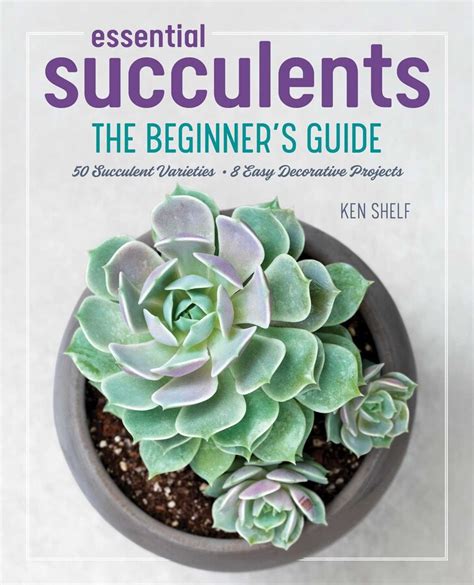 Essential Succulents Book By Ken Shelf Rachel Weill Official