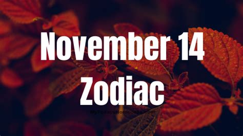 November 14 Zodiac Sign Personality Compatibility Love Career Money
