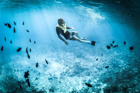 Best Places To Go Snorkeling In The World News