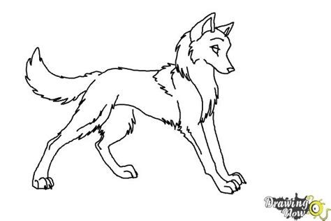 Anima drawing werewolf transparent png clipart free download ywd. How to Draw Anime Wolves | DrawingNow