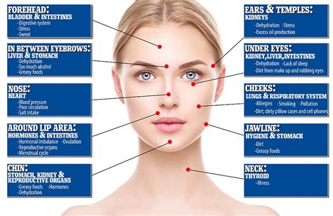 Facial Blemish Map Reveals These Internal Health Problems Health