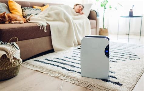 Nothing but fresh air from here on out with these dehumidifiers. How Does a Dehumidifier Work? - Explained in Detail