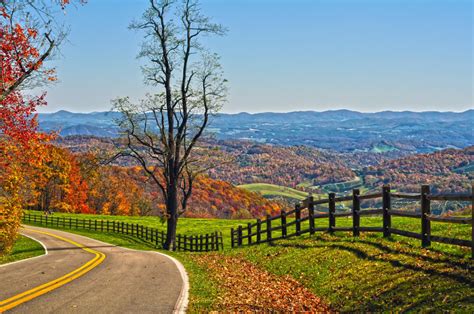 Apart from this, it also reached the milestone of $1 billion worldwide. Shirley's Bed and Breakfast food Roanoke VA - Vintage Bed ...