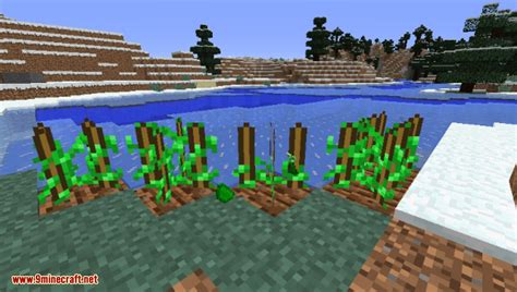 Maybe you would like to learn more about one of these? Dragon Ball Mod 1.12.2/1.11.2 (Summoning Shenron, the Eternal Dragon) - 9Minecraft.Net