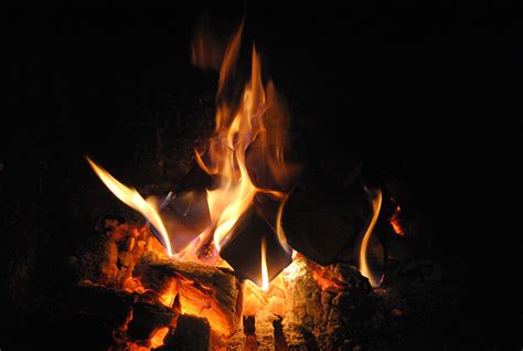 Free Photo Campfire Flames Fire Hot Heat Warm Hippopx