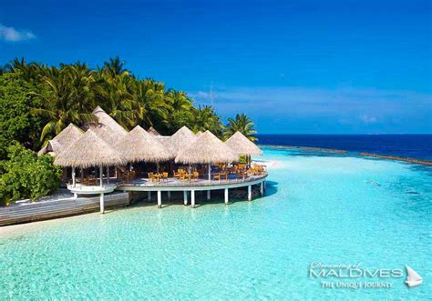 Baros Maldives Resort Complete Visit And Review By Dreaming Of Maldives