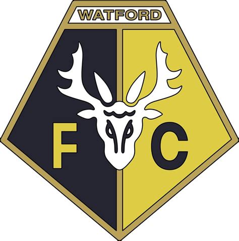 For years the fans have called the team 'the hornets', but the. 12 best Sports n That images on Pinterest | Watford fc ...