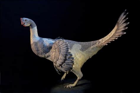 Scientists Reveal What Dinosaurs Really Looked Like And It