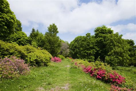 Planting for fall harvest when you plant is as important as where and how if you want vegetables well into the care and maintenance of lawns and landscape plants. What is the Difference Between Shrubs and Bushes?