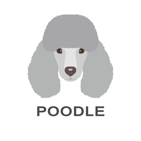 Vector Illustration Of Poodle In Flat Style Poodle Flat Icon 616575