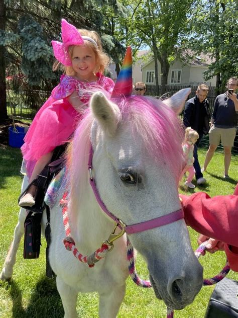 Horseback Riding Classes And Trail Rides For Kids In Chicagoland