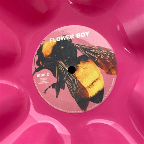 Tyler The Creator Flower Boy Lp Pink Vinyl Record Bowl Etsy