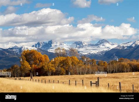 Usa Idaho The Teton Mountains Rise Above Farmland And Trees Near