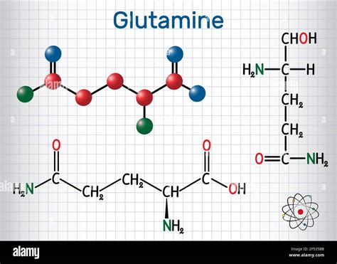 Molécula De Aminoácido Glutamina Gln Q Fórmula Química Estructural