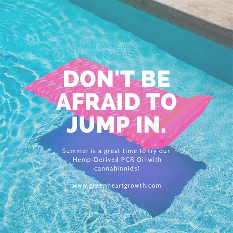Summer Fun Pool Quotes Pool Quotes Summer Pool Captions