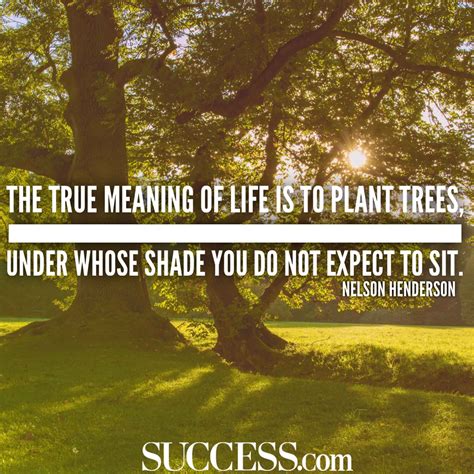 The Meaning Of Life In 15 Wise Quotes Success