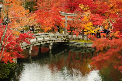 Kyoto used to be the capital of japan, and was the emperor's residence. Kyoto Travel Cost - Average Price of a Vacation to Kyoto: Food & Meal Budget, Daily & Weekly ...