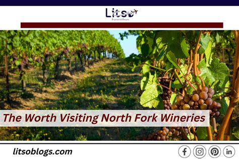 The Worth Visiting North Fork Wineries Get Ready For Awesome Fun