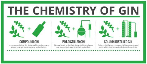 The Chemistry Behind The Gin We Love So Much Infographic Distillery
