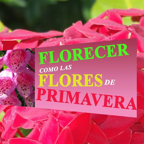 Florecer Como Las Flores En Primavera Gladys Arce
