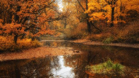 Nature Autumn River Wallpaper Desktop Hd 54129 8383