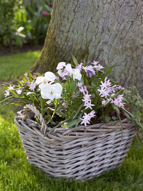 When Can I Plant Tulip Bulbs In Pots - How to Plant Bulbs in Pots to Add Splashes of Color Anywhere