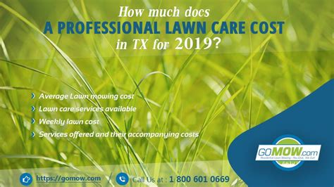 Why do costs vary between companies? How much does a professional lawn care cost in TX for 2019? | Lawn care, Lawn care companies ...
