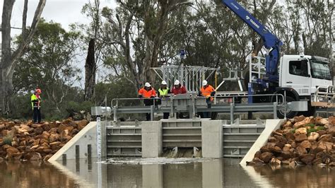 Environmental Water Gives Riverlands Woolpolool Swamp Its First Drink Since 1980s Abc News