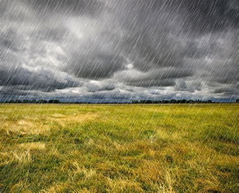 No Texto Observamos A Percepção Da Chuva Sob Dois Aspectos