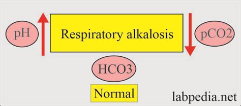 acid base balance part 3 respiratory acidosis and alkalosis