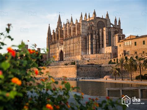 Offriamo alloggi da sogno per tutti i gusti. Affitti Maiorca in un bungalow per vacanze con IHA privati