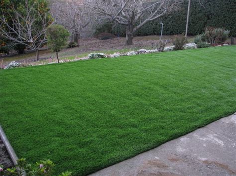 Our fantastic san francisco synthetic turf product lines feature the highest quality fibers in attractive shades of green to beautify any landscape application. San Francisco Bay Area Synthetic Grass | Artificial Lawns ...