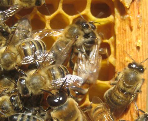 Being a mom, a wife, a worker. How to Find Your Queen