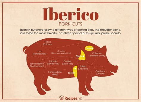 Iberico Pork Why It S So Expensive All About The Cuts Recipes Net