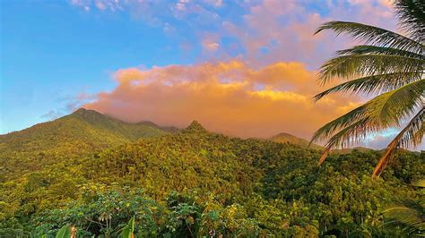 4k Free Download El Yunque National Rainforest At Sunrise Puerto